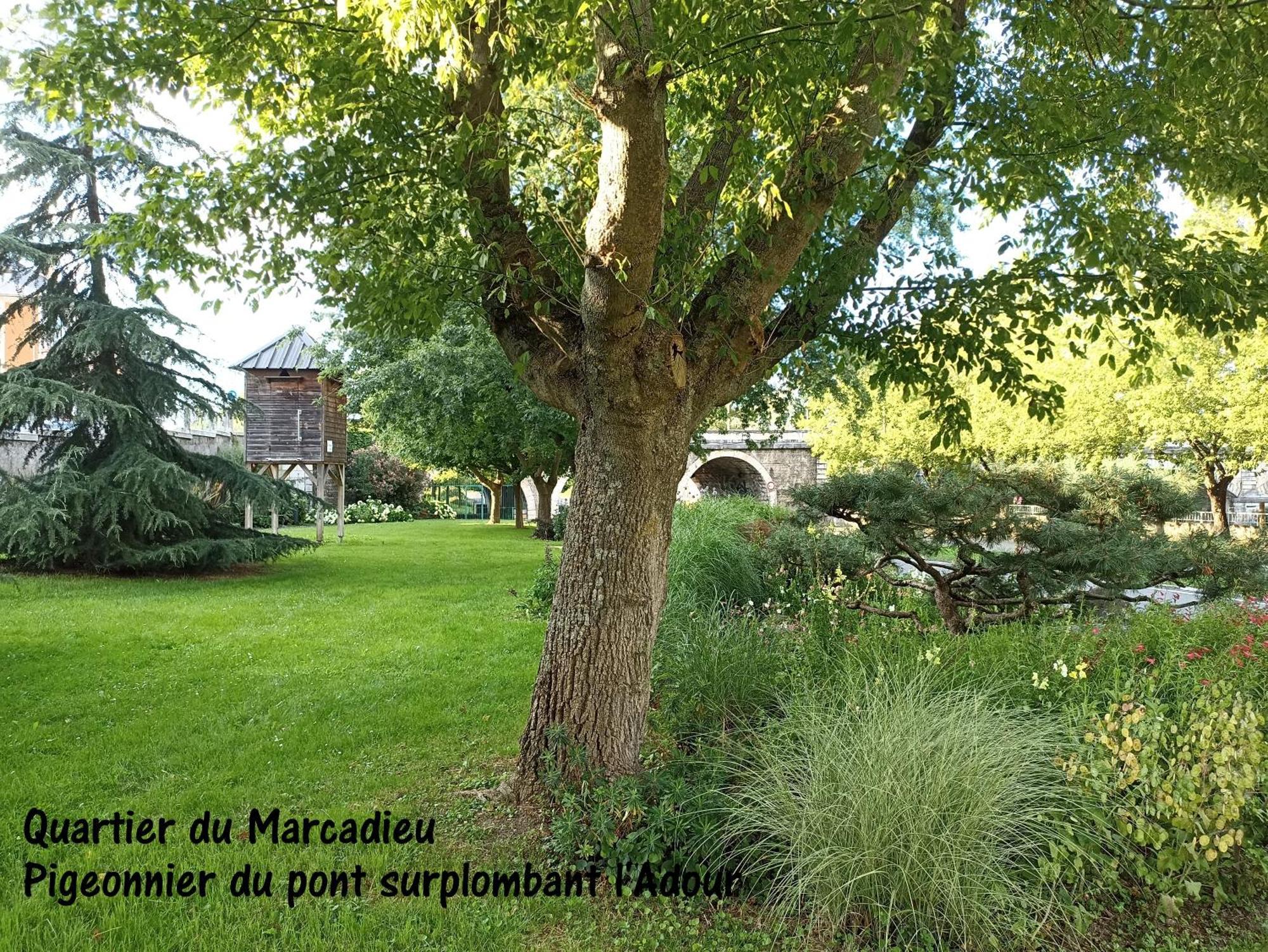 Studio Tarbes Marcadieu Exterior photo
